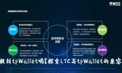 LTC可以提到tpWallet吗？探索LTC与tpWall