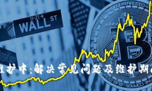 tpWallet维护中:解决常见问题及维护期间使用指南