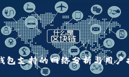 TP钱包支持的网络分析与用户指南