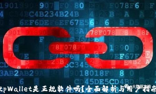 
tpWallet是正规软件吗？全面解析与用户指南