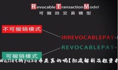 tpWallet的puke币是真的吗？彻底解析及投