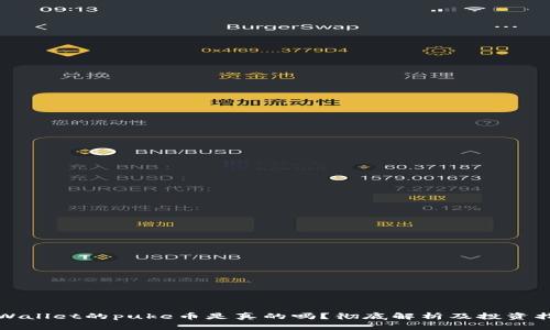 tpWallet的puke币是真的吗?彻底解析及投资指南