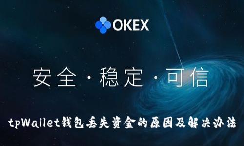 tpWallet钱包丢失资金的原因及解决办法
